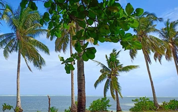 جنرال لونا Sol Y Mar Beach Resort المظهر الخارجي الصورة